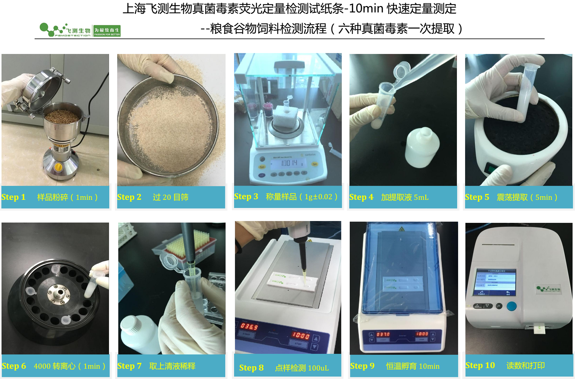霉菌毒素檢測(cè)過程