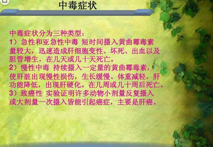 六、黃曲霉毒素對(duì)人和動(dòng)物有哪些危害？