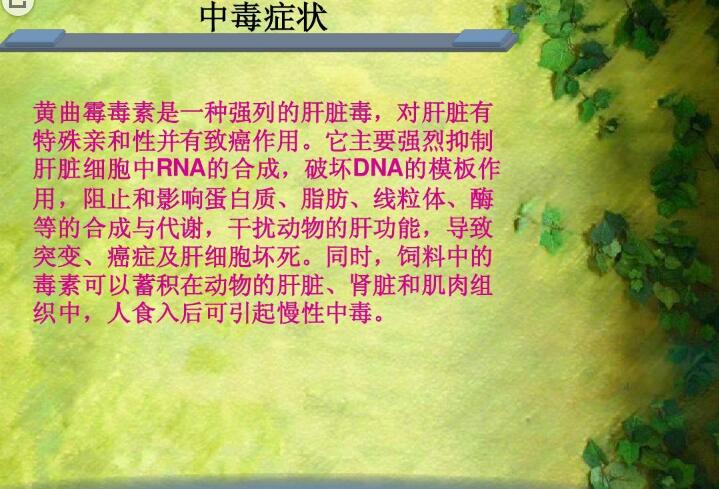 六、黃曲霉毒素對(duì)人和動(dòng)物有哪些危害？