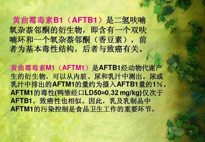  四、黃曲霉毒素的性質(zhì)